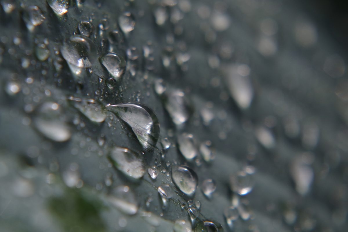 Nahaufnahme von Wassertropfen, die auf einem dunklen, unscharfen Hintergrund liegen und in unterschiedlicher Größe und Form verteilt sind.