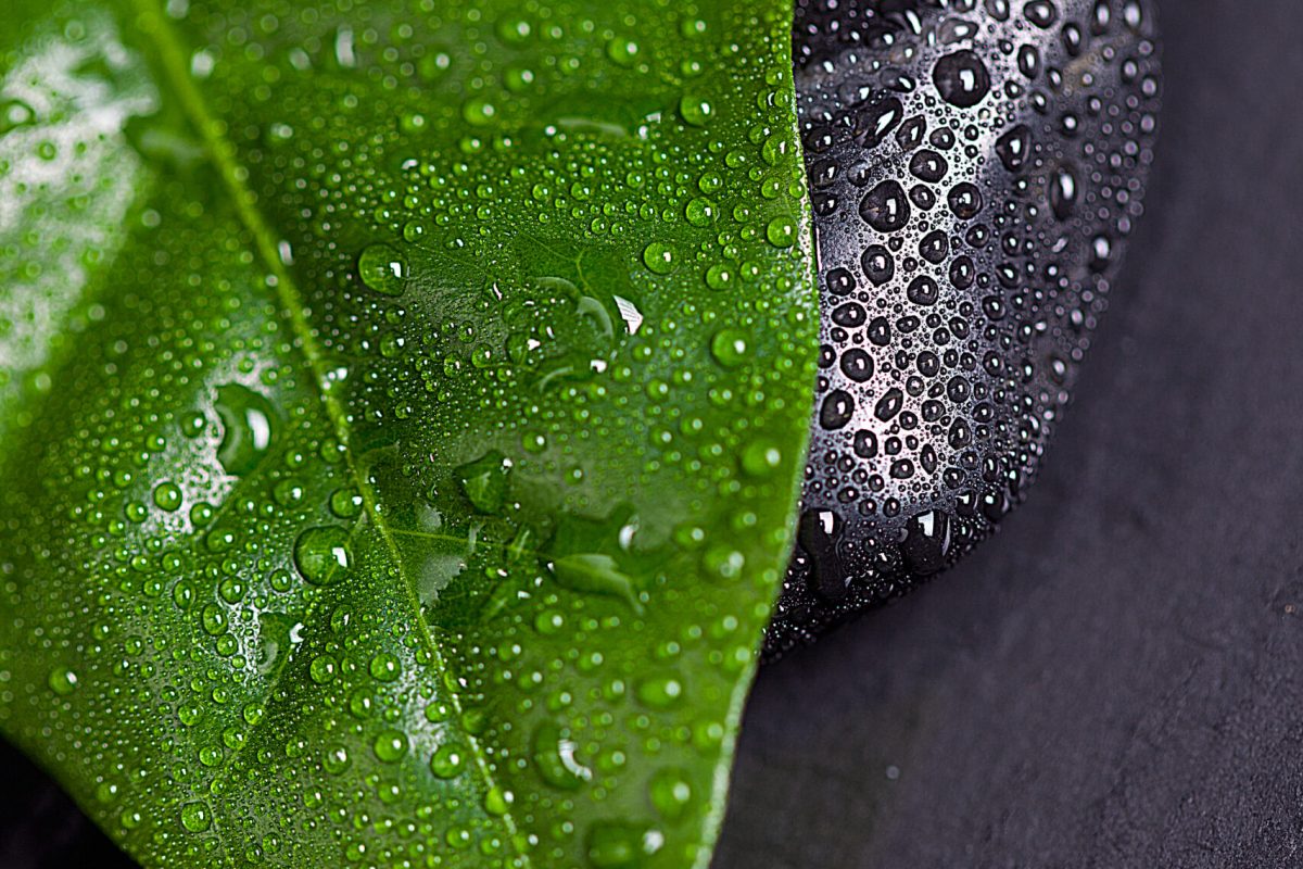 Grünes Blatt mit Wassertropfen neben einem schwarzen Stein, beide mit Tropfen bedeckt und auf dunklem Hintergrund platziert.